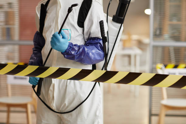 Professional Sewage Cleanup technician working in Nunica, MI